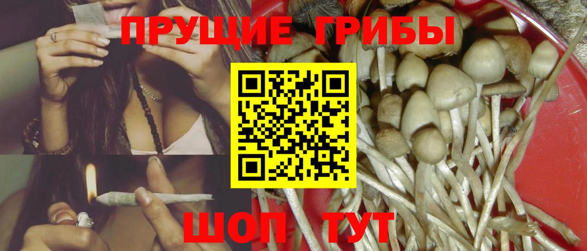 Галлюциногенные грибы мухоморы  Вход с VPN  Воскресенск  Галлюциногенные грибы Cubensis 